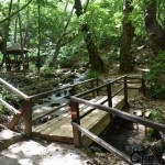 Колешински водопад