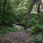 Каменишки водопад Срамежливеца