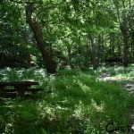 Яворнишки водопад