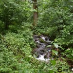Водопад Мангъро
