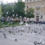 Загреб