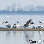 Езеро Керкини